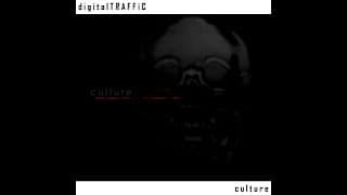 AMBIENT MUSIC: culture album